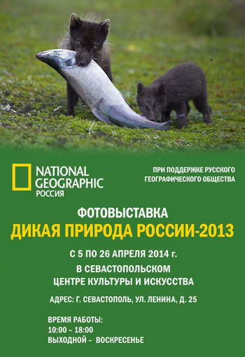 Фотовыставка "Дикая природа России"